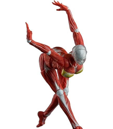 Amazon.co.jp: D ONE STUDIO 1/12 RAGE-ZBOYS シリーズ 牙仔 可動